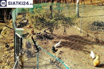Siatki producent - Siatka na woliery - zabezpieczenia ptaków w hodowli siatki od producenta